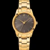 Montre Femme ROXANE Cadran Gris Bracelet Acier  Doré