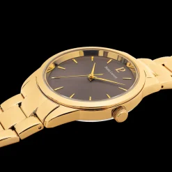 Montre Femme ROXANE Cadran Gris Bracelet Acier Doré
